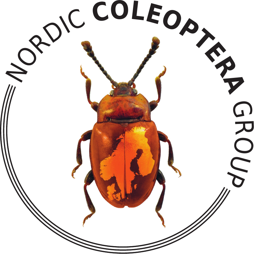 BeetleBase Logo