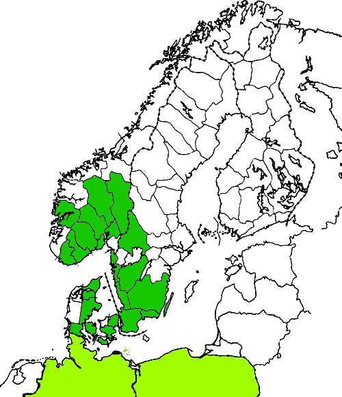 Utbredelseskart